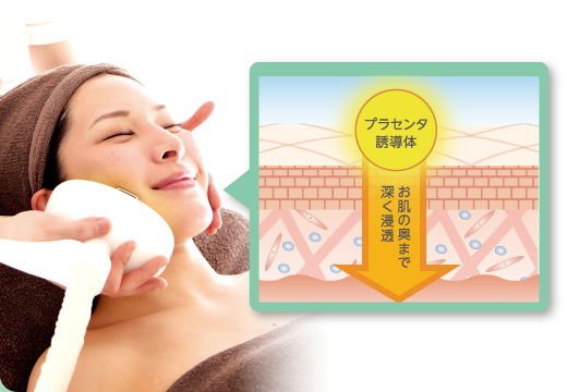 お肌の奥まで深く浸透プラセンタ誘導体
